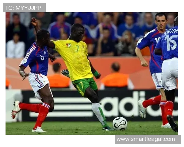 2006年世界杯小组赛法国队与多哥队激战回顾与精彩瞬间分析