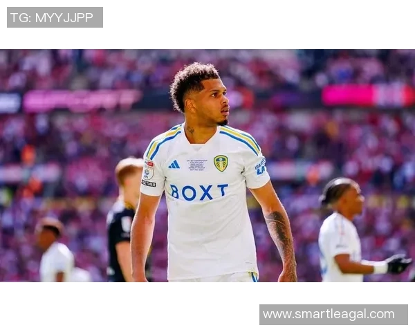 利兹联与赫尔城对决前瞻及比分预测分析