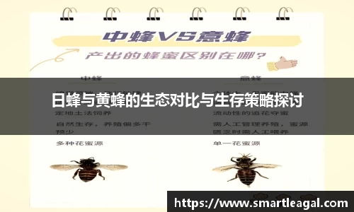 日蜂与黄蜂的生态对比与生存策略探讨